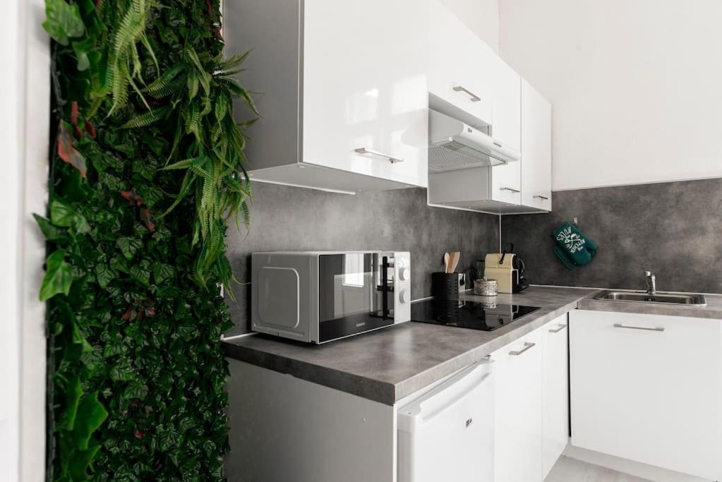 Charmant Studio Arbore Et Climatise Carcassonne Exteriér fotografie