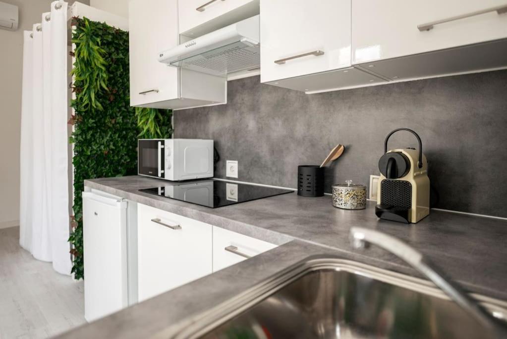 Charmant Studio Arbore Et Climatise Carcassonne Exteriér fotografie